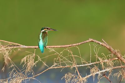 DSC_5582.jpg