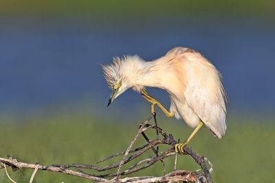 DSC_5586.jpg