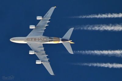 DSC_1920.jpg