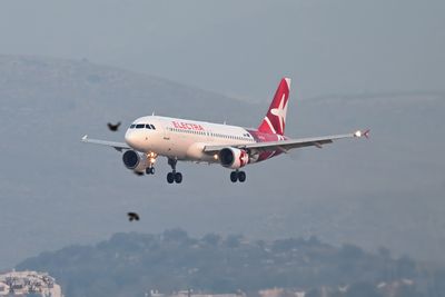 DSC_9190.jpg