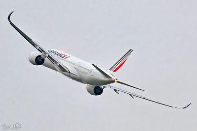 DSC_2860.jpg