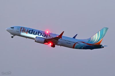 DSC_7284_01.jpg