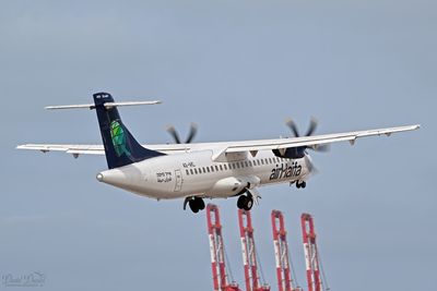 DSC_2088.jpg