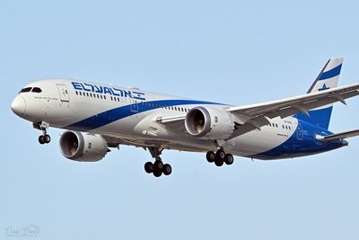DSC_4146_01.jpg