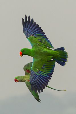 AC3I9107 (1).jpg