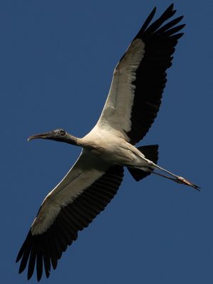 AC3I5145.jpg