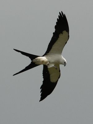 AC3I5044.jpg