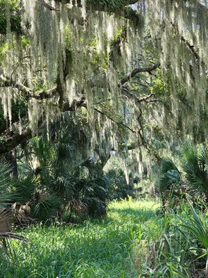 My favorite 2024 Circle B Bar Reserve Lakeland Florida USA captures
