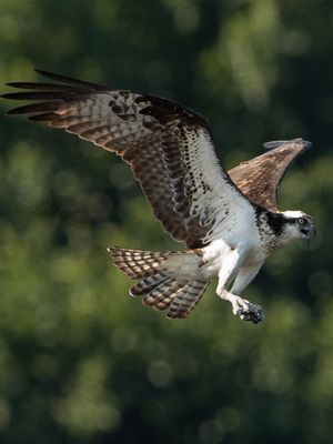 AC3I3723 (1).jpg