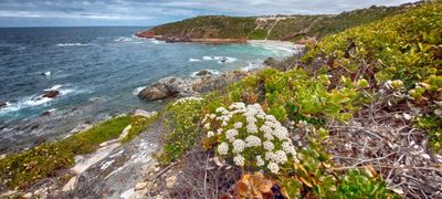 Meteor Beach Yorke Peninsula