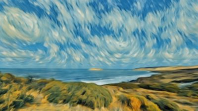Petrel cove