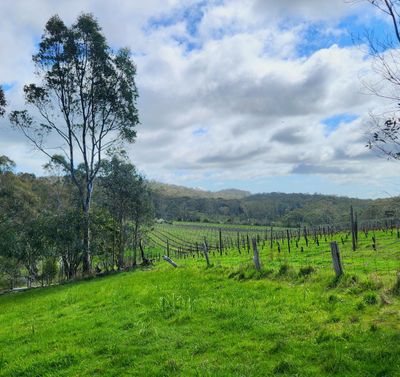 Clare valley