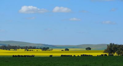 landscapes