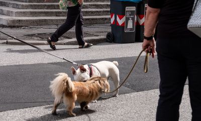 trieste