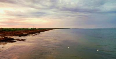 20250601_175044[1].jpg
