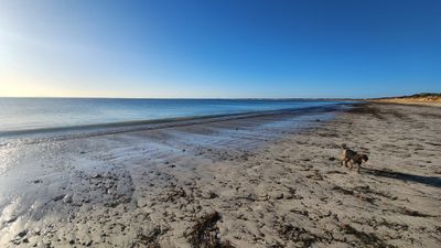 streaky_bay_to_western_australia