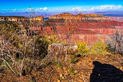 Photographer's Shadow Distracts a Beautiful Scenery