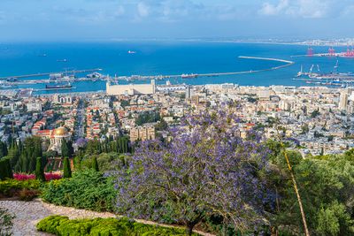 Panoramic View Haifa Bay