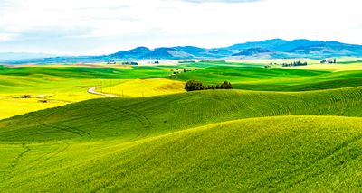 Palouse