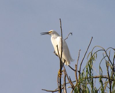 CIG_IMG188.jpg