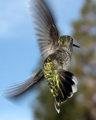 164329421.Uu6KZuB5.IMG_0157_opt.jpg
