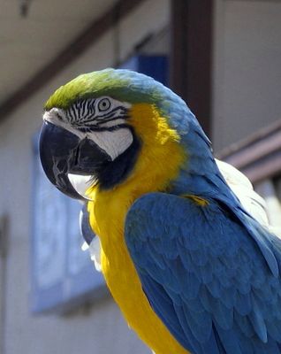 CIG_IMG107.jpg