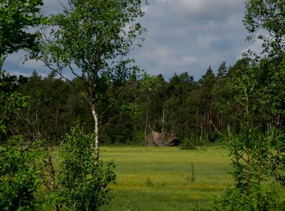Riksgränsvandring 2024 söndag 0285.jpg