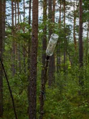 Vandring 2025 Dag 2 Algotsberg 160.jpg