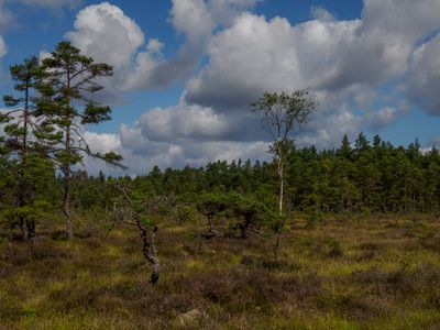 Vandring 2025 Dag 2 Blackatorpsmossen 203.jpg