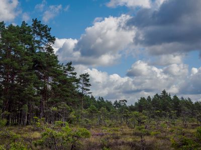 Vandring 2025 Dag 2 Blackatorpsmossen 222.jpg