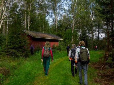 Vandring 2025 Dag 2 Tyringemossen 102.jpg