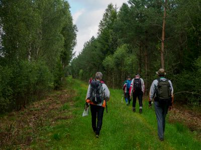 Vandring 2025 Dag 2 Tyringemossen 106.jpg