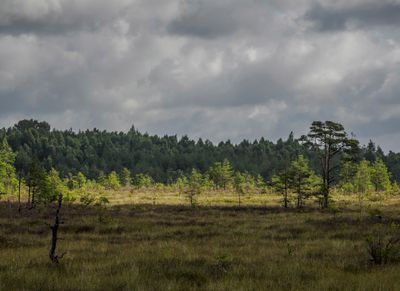 Vandring 2025 Dag 2 Tyringemossen 108.jpg