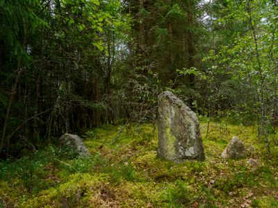 Vandring 2025 Dag 2 Tyringemossen 124.jpg
