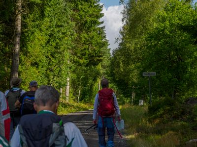 Vandring 2025 Dag 2 Tyringemossen 131.jpg