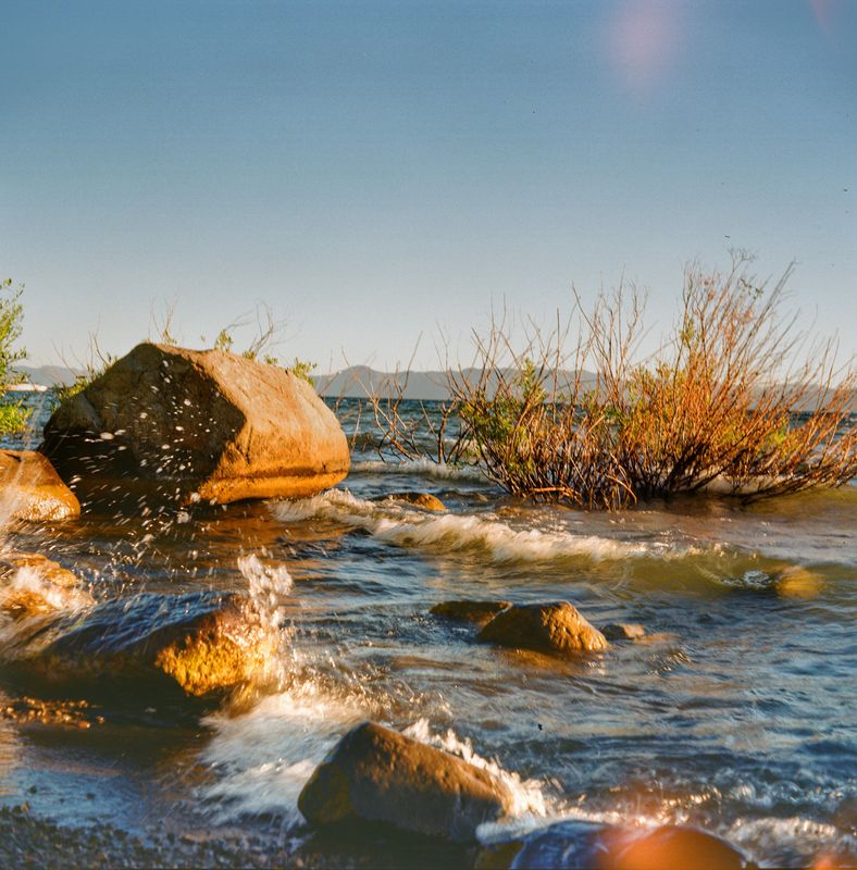 Mamiya 6