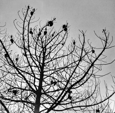 g13/44/967444/3/174780906.34e3a168.JPEG