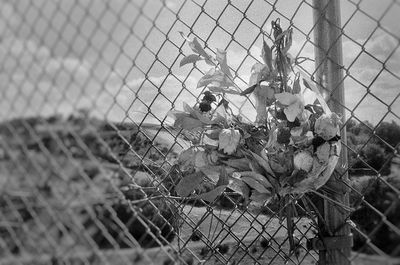 g13/44/967444/3/175003641.f8177903.JPEG