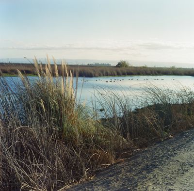 g13/44/967444/3/175049489.de53ec1d.JPEG
