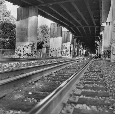 g13/44/967444/3/175473556.465f1f88.JPEG