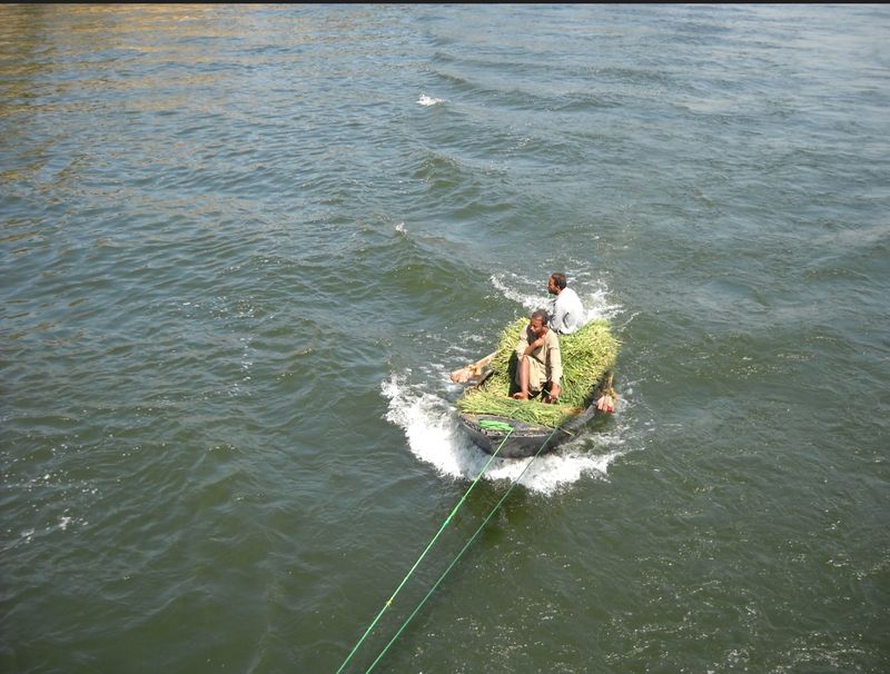 Along the Nile