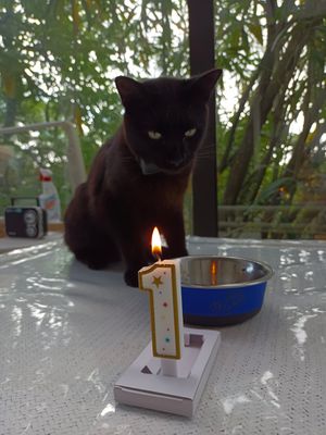 25