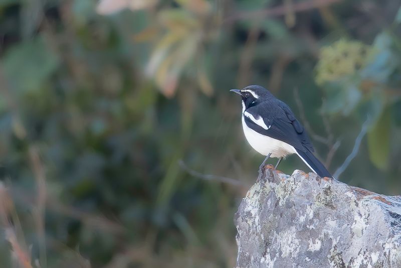 Angola Cave Chat
