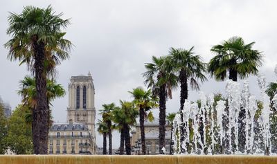 Hôtel de Ville Fountain with Palm Trees and Cathédrale Notre-Dame in the Background