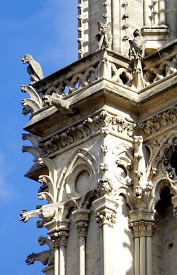 Cathédrale Notre-Dame - Detail
