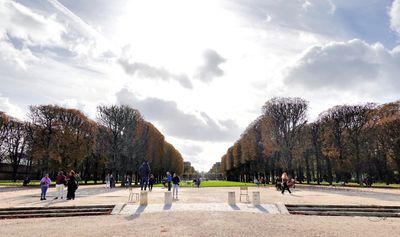 Luxembourg Garden - Manicured Trees