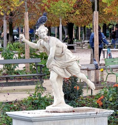 Tuileries Garden - Statue with Pigeon