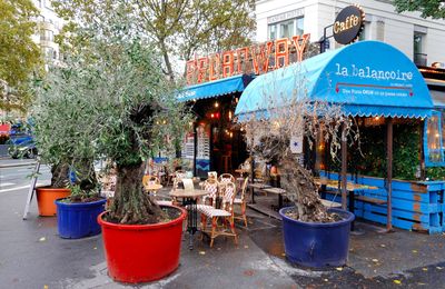 Boulevard du Montparnasse - Interesting Stunted Trees
