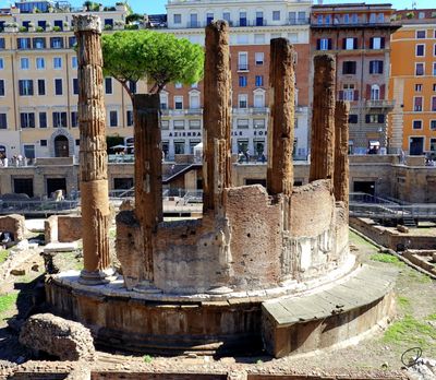 Largo di Torre Argentina, Rome