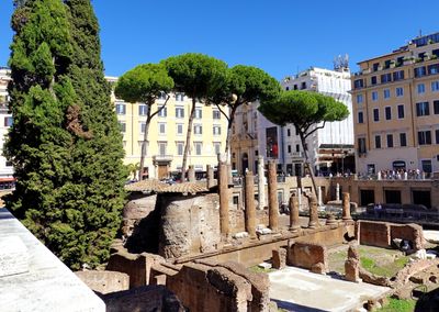Largo di Torre Argentina, Rome